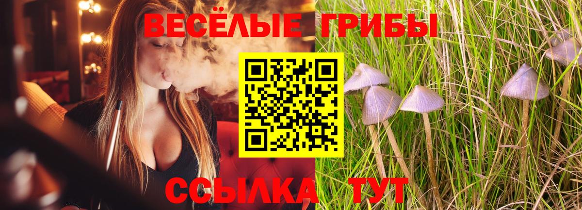 Галлюциногенные грибы Cubensis Кызыл